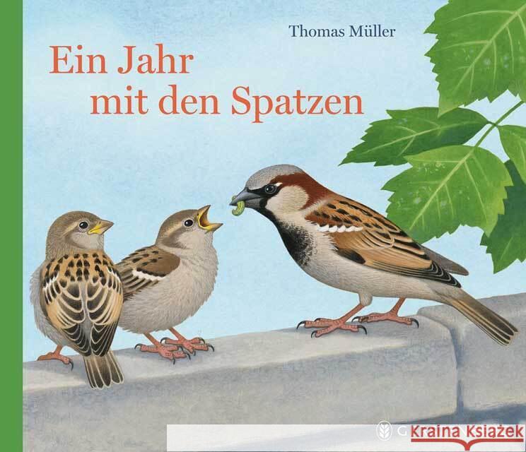 Ein Jahr mit den Spatzen Müller, Thomas 9783836957168 Gerstenberg Verlag - książka