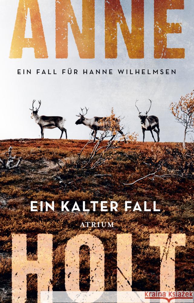 Ein kalter Fall Holt, Anne 9783038821472 Atrium Verlag - książka