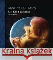 Ein Kind entsteht - Der Bildband Nilsson, Lennart Hamberger, Lars  9783442391844 Goldmann - książka