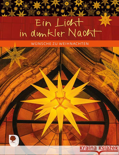 Ein Licht in dunkler Nacht : Wünsche zu Weihnachten  9783869177564 Eschbach - książka