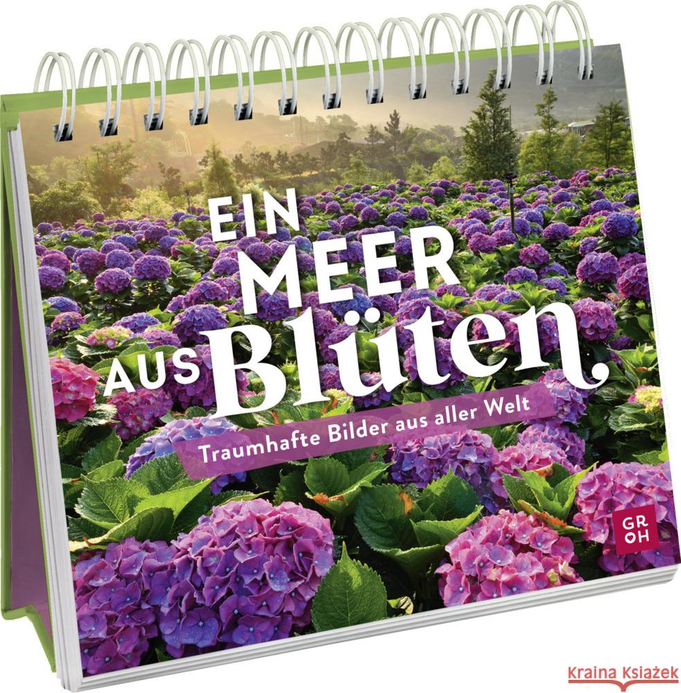 Ein Meer aus Blüten Funk, Kristin 9783848501991 Groh Verlag - książka