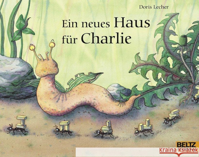 Ein neues Haus für Charlie Lecher, Doris 9783407761255 Beltz - książka