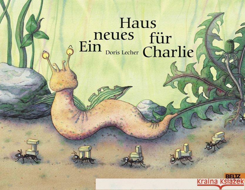 Ein neues Haus für Charlie Lecher, Doris 9783407794833 Beltz - książka