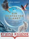 Ein perfekter Planet Cordey, Huw 9783954163557 Frederking & Thaler