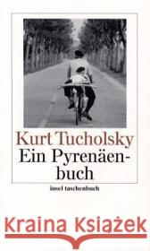 Ein Pyrenäenbuch Tucholsky, Kurt   9783458349938 Insel, Frankfurt - książka