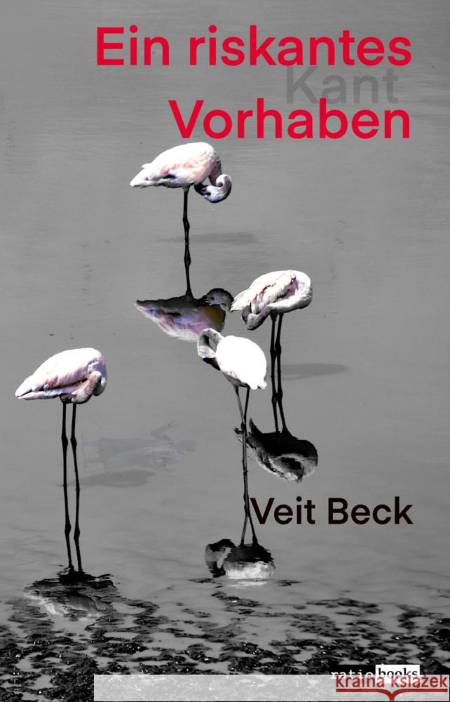 Ein riskantes Vorhaben Beck, Veit 9783961369904 Verlag ratio-books - książka