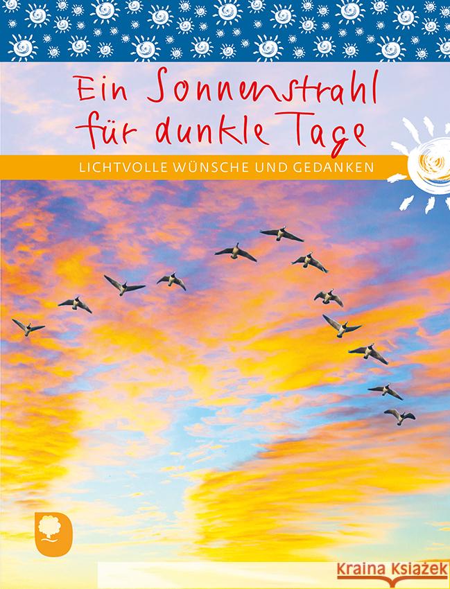 Ein Sonnenstrahl für dunkle Tage  9783869179322 Eschbach - książka