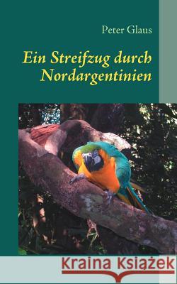 Ein Streifzug durch Nordargentinien: Argentinien....kennen und lieben lernen Glaus, Peter 9783837044591 Books on Demand - książka