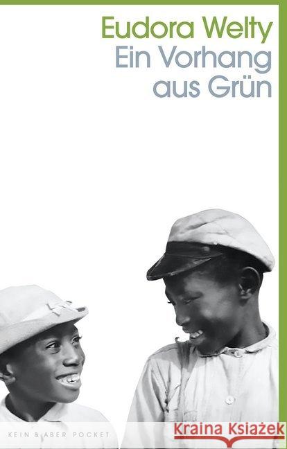 Ein Vorhang aus Grün : Erzählungen Welty, Eudora 9783036959887 Kein & Aber - książka