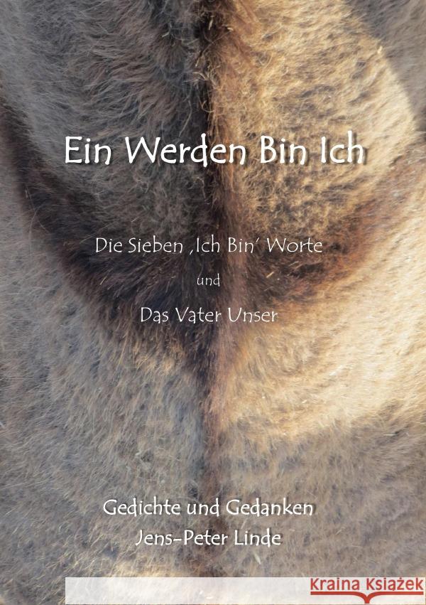 Ein Werden Bin Ich Linde, Jens-Peter 9783818736583 epubli - książka