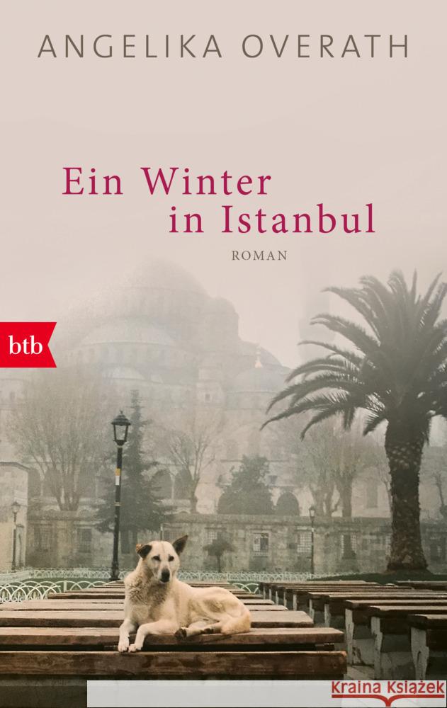 Ein Winter in Istanbul Overath, Angelika 9783442773220 btb - książka