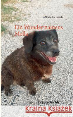 Ein Wunder namens Molla: Eine Liebesgeschichte Alexander Lassalle 9783749429929 Books on Demand - książka