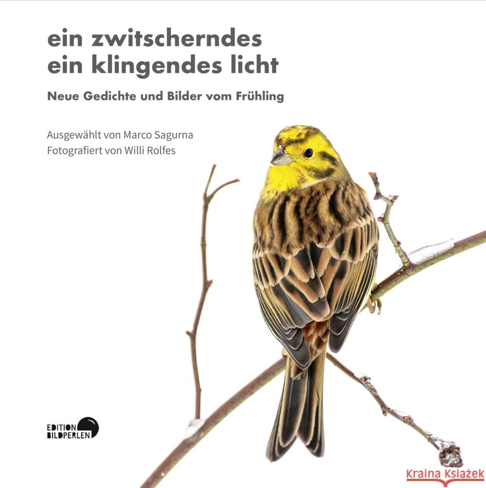 ein zwitscherndes ein klingendes licht Augustin, Michael, Frolowa, Elena, Geist, Sylvia 9783965460140 Edition Bildperlen - książka