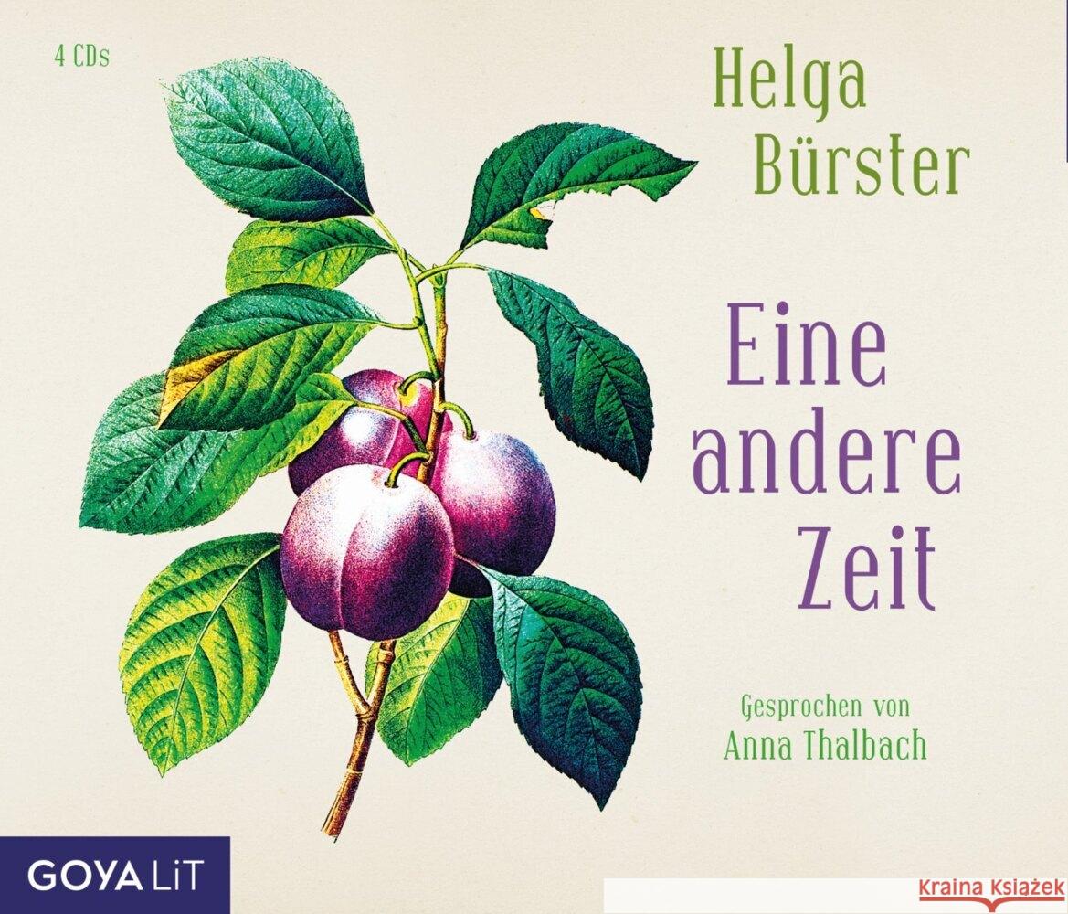 Eine andere Zeit, 1 Audio-CD, MP3 Bürster, Helga 9783833744747 Jumbo Neue Medien - książka