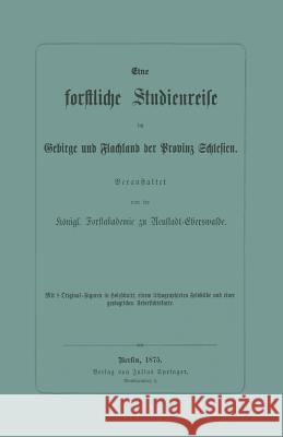 Eine Forstliche Studienreise Im Gebirge Und Flachland Der Provinz Schlesien Na Na 9783642494499 Springer - książka