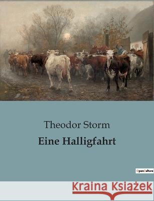 Eine Halligfahrt Theodor Storm   9791041900527 Culturea - książka