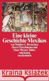 Eine kleine Geschichte Mexikos : Originalausgabe Bernecker, Walther L. Pietschmann, Horst Tobler, Hans W. 9783518456217 Suhrkamp - książka
