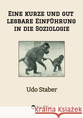 Eine kurze und gut lesbare Einführung in die Soziologie Staber, Udo 9783384716385 tredition - książka