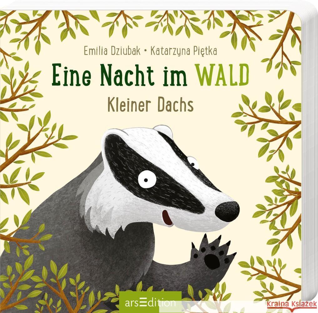 Eine Nacht im Wald: Kleiner Dachs Pietka, Katarzyna 9783845851198 ars edition - książka