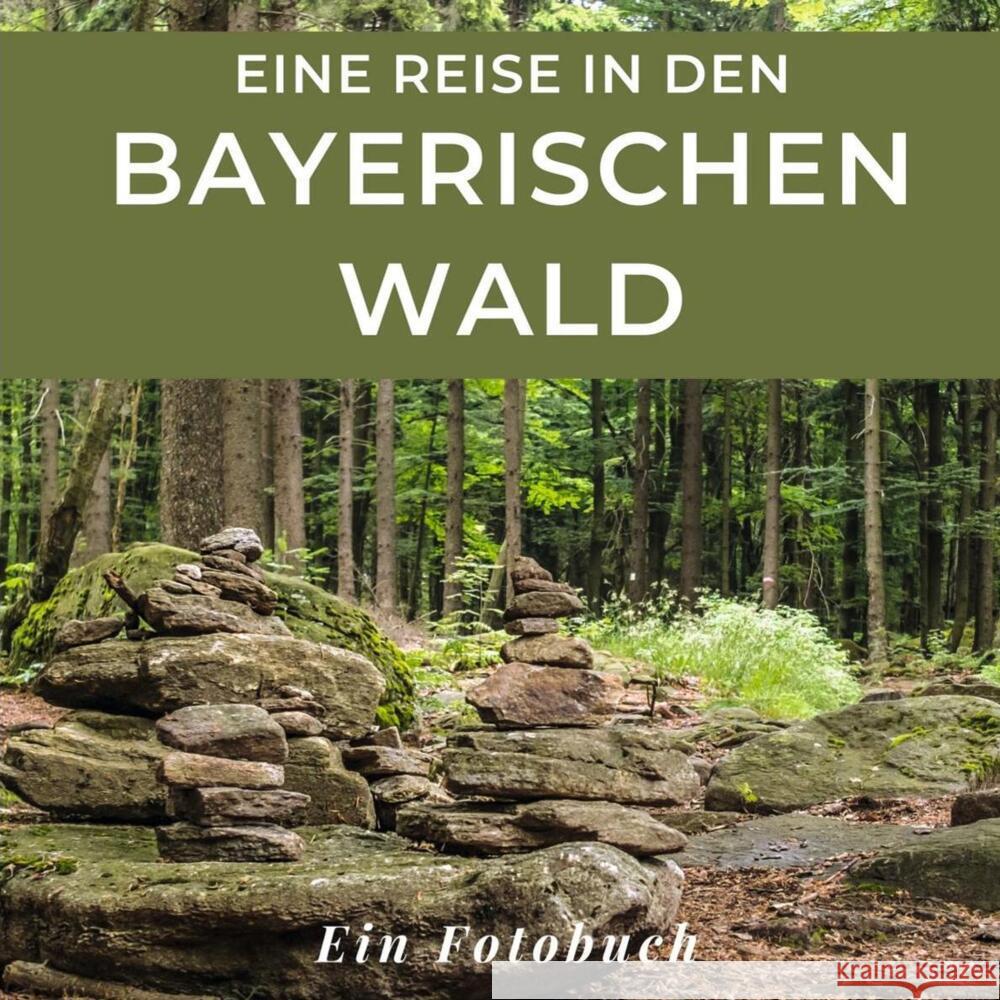 Eine Reise in den Bayrischen Wald Sardí, Tania 9783750519688 27amigos - książka