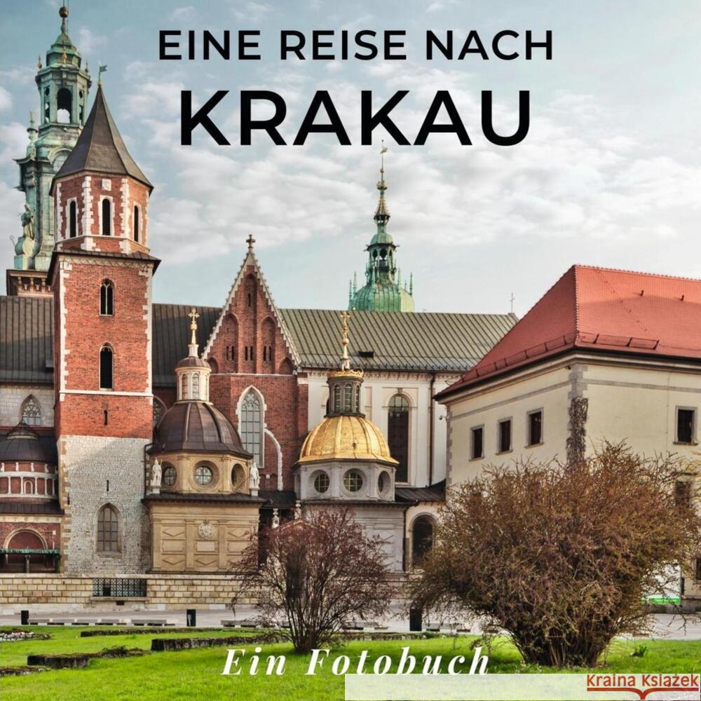 Eine Reise nach Krakau Sardi, Tania 9783750515383 27amigos - książka