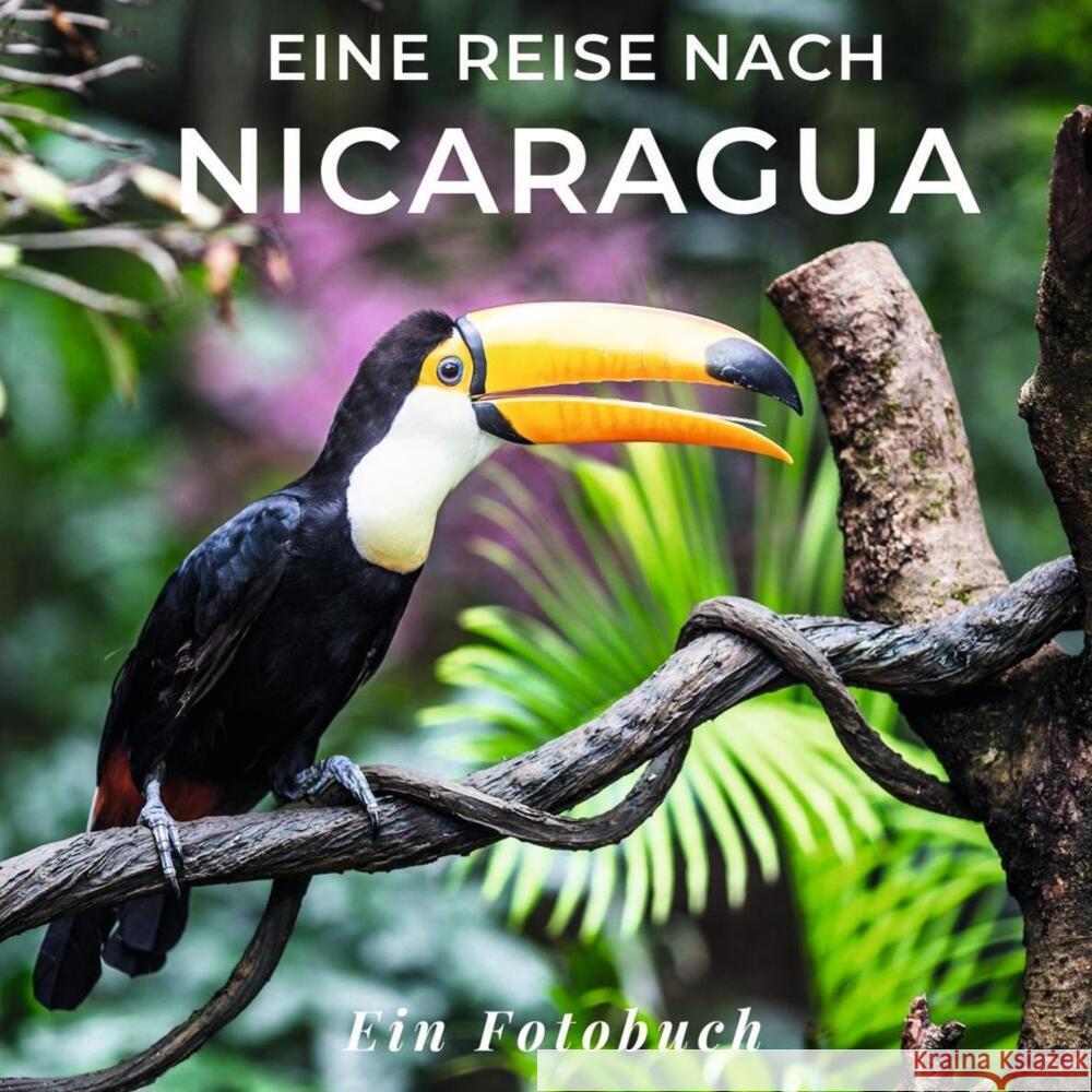 Eine Reise nach Nicaragua Sardí, Tania 9783750516663 27amigos - książka