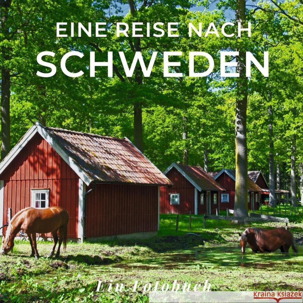 Eine Reise nach Schweden Sardí, Tania 9783750518209 27amigos - książka