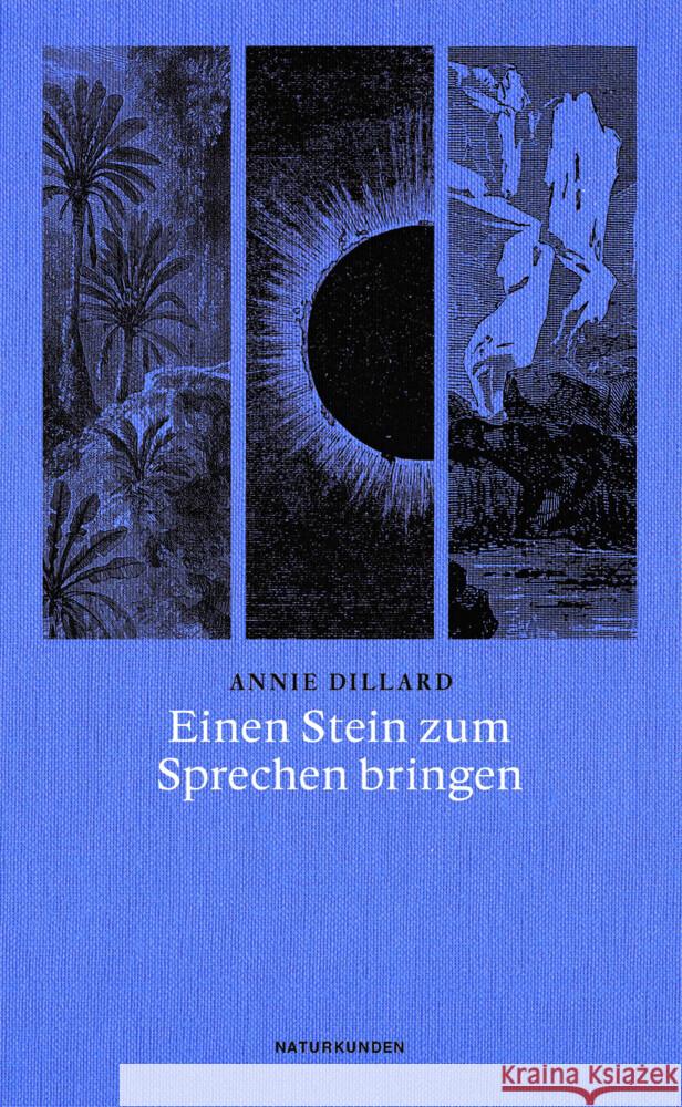 Einen Stein zum Sprechen bringen Dillard, Annie 9783751802222 Matthes & Seitz Berlin - książka