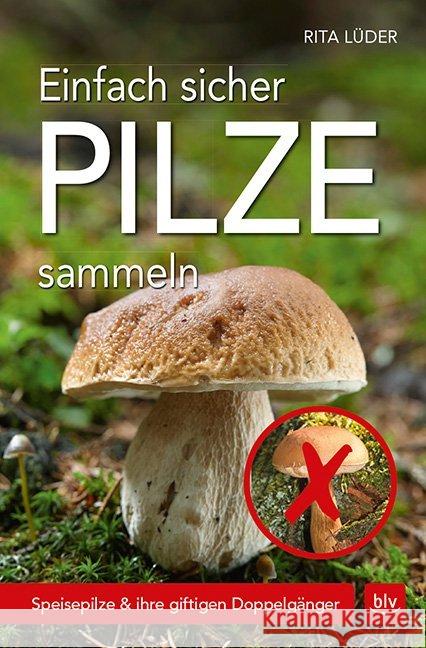 Einfach sicher Pilze sammeln : Speisepilze & ihre giftigen Doppelgänger Lüder, Rita 9783835417144 BLV Buchverlag - książka