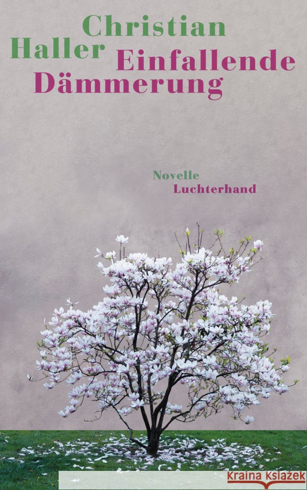Einfallende Dämmerung Haller, Christian 9783630877921 Luchterhand Literaturverlag - książka
