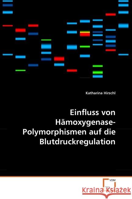 Einfluss von Hämoxygenase-Polymorphismen auf die Blutdruckregulation Hirschl, Katharina 9783639294859 VDM Verlag Dr. Müller - książka