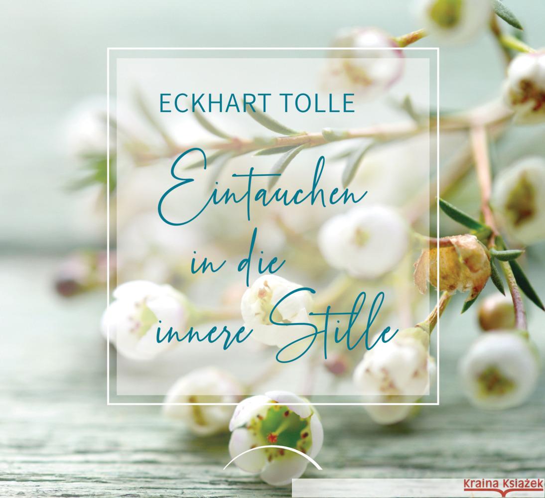 Eintauchen in die innere Stille Tolle, Eckhart 9783442345892 Arkana - książka