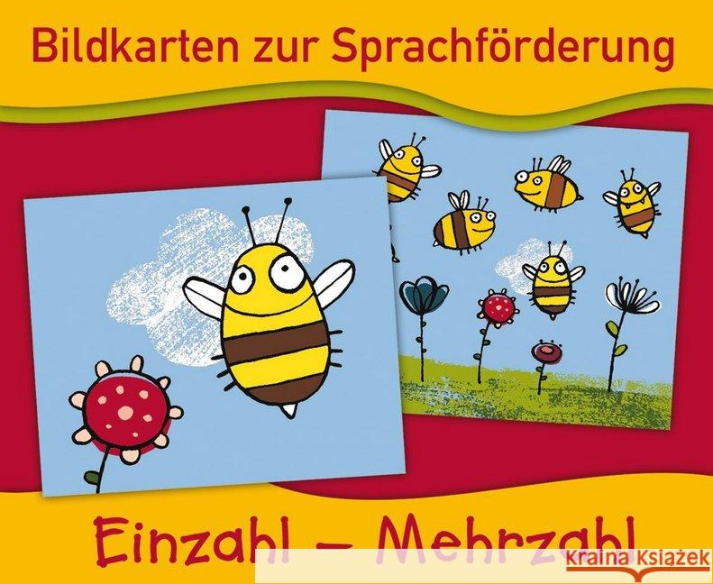 Einzahl - Mehrzahl (Bildkarten)  9783834641267 Verlag an der Ruhr - książka