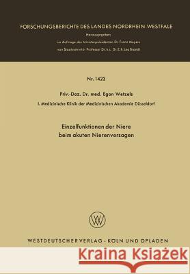 Einzelfunktionen Der Niere Beim Akuten Nierenversagen Egon Wetzels 9783322983138 Vs Verlag Fur Sozialwissenschaften - książka