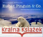 Eisbär, Pinguin & Co. : Polartiere filzen und kennenlernen Reinhard, Rotraud Held, Wolfgang  9783772520686 Freies Geistesleben - książka