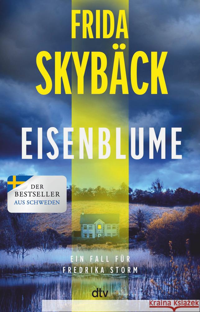 Eisenblume Skybäck, Frida 9783423264297 DTV - książka