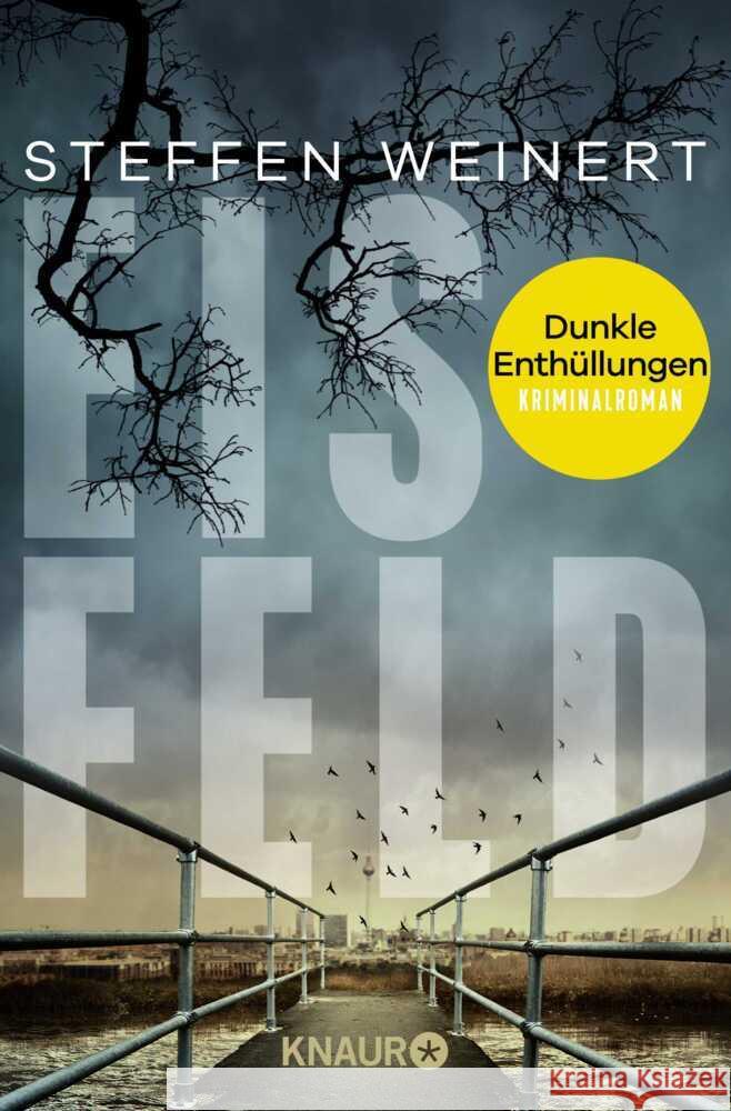 Eisfeld - Dunkle Enthüllungen Weinert, Steffen 9783426448236 Droemer/Knaur - książka