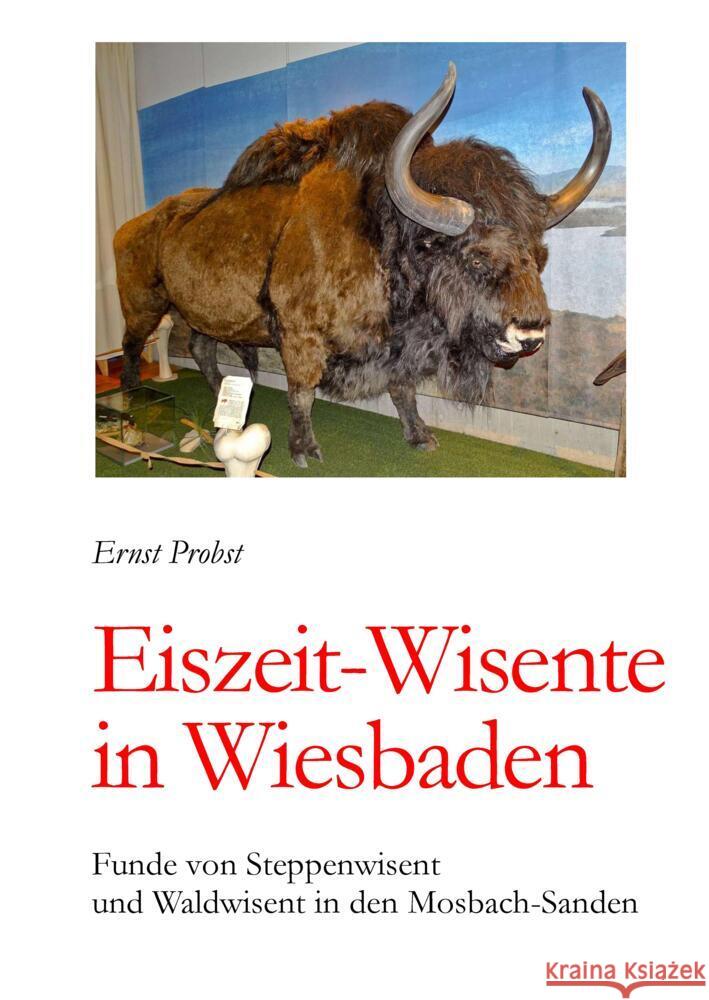 Eiszeit-Wisente in Wiesbaden Probst, Ernst 9783384484406 tredition - książka