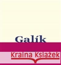 Čekání na konec tmy Josef GalÃ­k 9788086624655 Periplum - książka