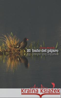 El baño del pájaro de la Pitoreta, Chaco 9781676536628 Independently Published - książka