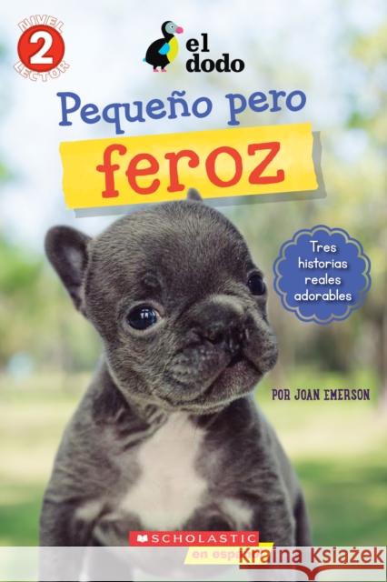 El Dodo: Pequeño Y Valiente (the Dodo: Little But Fierce) Emerson, Joan 9781338631074 Scholastic en Espanol - książka