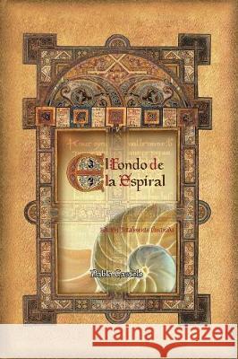 El Fondo De La Espiral: Edición Totalmente Ilustrada Castelo, Pablo 9780997604054 Pablo Castelo - książka