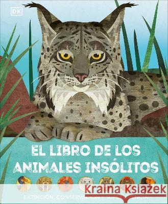 El Libro de Animales Inslitos: Exfincion, Conservacion Y Supervivencia Jason Bittel 9780744089226 DK Publishing (Dorling Kindersley) - książka