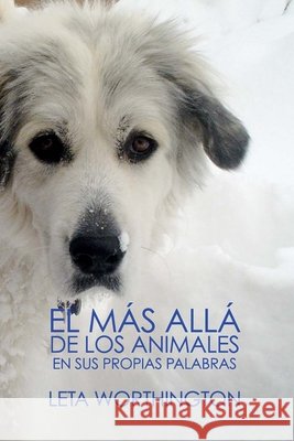 El Más Allá de los Animales: En sus proprias palabras Leta Worthington, Sofia Rupp Hernandez 9798512100851 Independently Published - książka