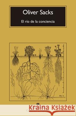 El Rio de la Conciencia Oliver Sacks 9788433946867 Editorial Anagrama - książka