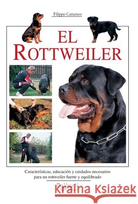 El rottweiler: Características, educación y cuidados necesarios para un rottweiler fuerte y equilibrado Cattaneo, Filippo 9798899565342 de Vecchi Ediciones - książka