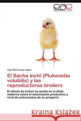 El Sacha Inchi (Plukenetia Volubilis) y Las Reproductoras Broilers Juan Ra Luca 9783659014116 Editorial Acad Mica Espa Ola - książka