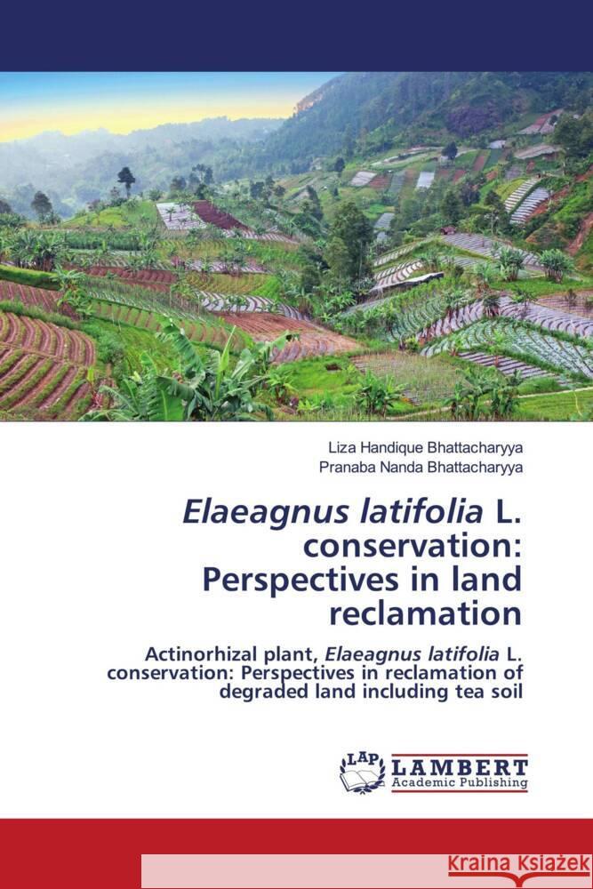 Elaeagnus latifolia L. conservation: Perspectives in land reclamation Bhattacharyya, Liza Handique, Bhattacharyya, Pranaba Nanda 9786203854817 LAP Lambert Academic Publishing - książka