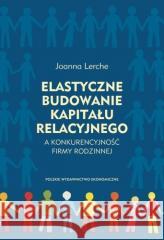Elastyczne budowanie kapitału relacyjnego.. Joanna Lerche 9788320826722 PWE - książka