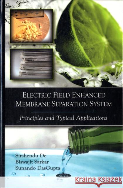 Electric Field Enhanced Membrane Separation System: Principles & Typical Applications Sirshendu De, Biswajit Sarkar, Sunando DasGupta 9781607415923 Nova Science Publishers Inc - książka